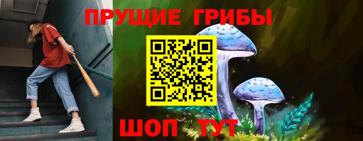 Верхняя Пышма  Псилоцибиновые грибы Psilocybe  Вход с VPN 